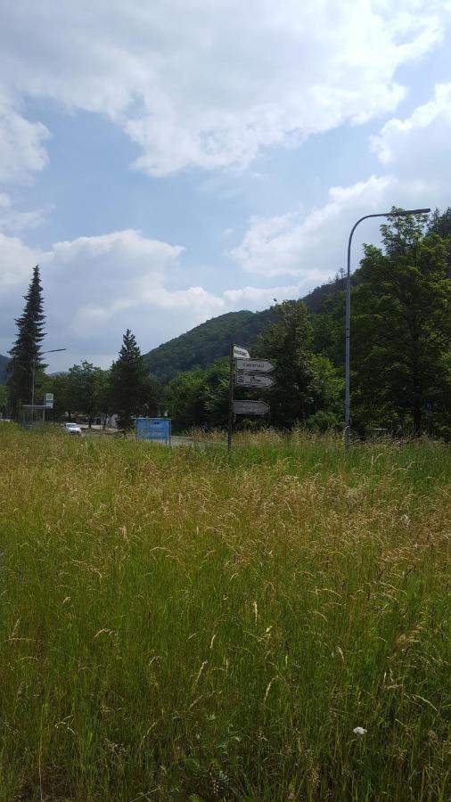Apartmán Erholung Pur Bei Nina Bad Lauterberg Exteriér fotografie